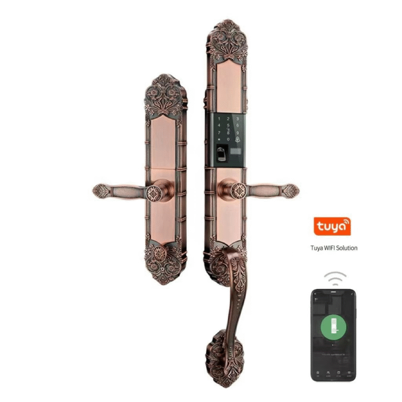 Fingerprint Smart Lock for door